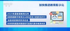 还能够上AI绘画、计较机编程、大模子科普等课
